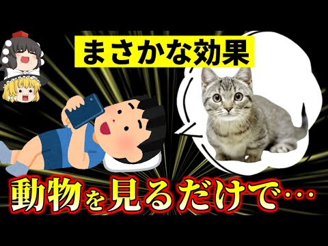 ゆっくり食堂【ゆっくり解説】