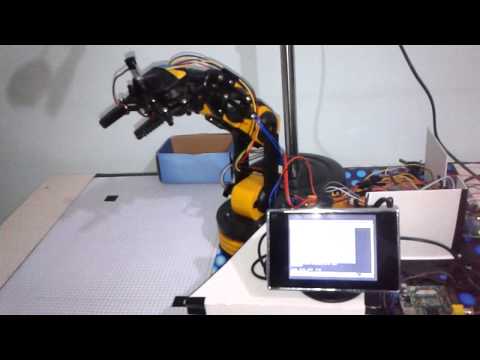 Image processing based robot arm control