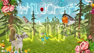 WildCraft nature   |relaxing video| screenshot 3