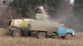 Claas Jaguar 860 снова в строю. Продолжаем уборку кукурузы Claas Jaguar 860 снова в строю. Продолжаем уборку кукурузы