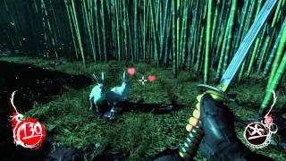 Shadow Warrior: Thumper Da Rabbit