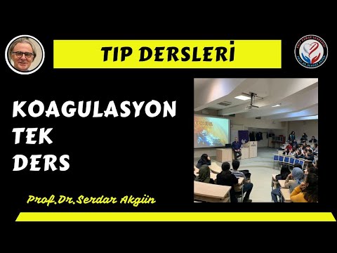 Koagulasyon Döngüsü, Fizyoloji, Prof.Dr.Serdar Akgün, Serdar Akgün, Tıp Videoları