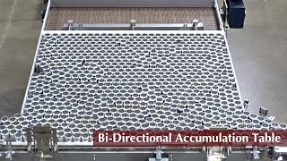 MCE Bi-Directional Accumulator