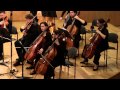 Tchaikovsky  souvenir de florence ii telaviv soloistsbarak tal