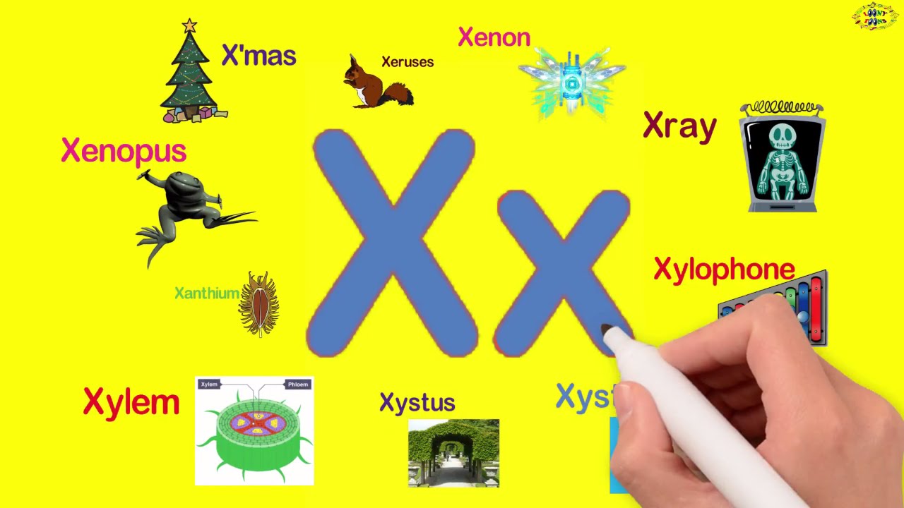 travel words beginning with x