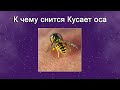 К чему снится Кусает оса – толкование сна по Соннику