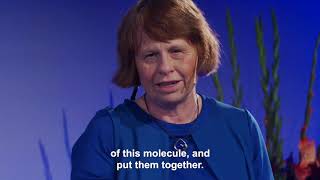 Ewine van Dishoeck Explains How Water Forms in Space