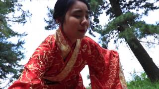 Vietnamese Week 2016 Promotional Video Teaser