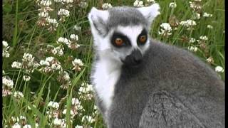 Zoo Parc Overloon Een Paradijsje