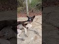 March 15, 2026