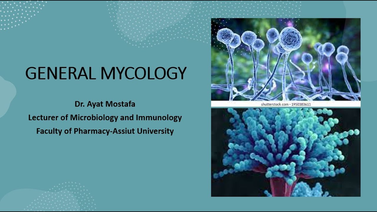 GENERAL MYCOLOGY