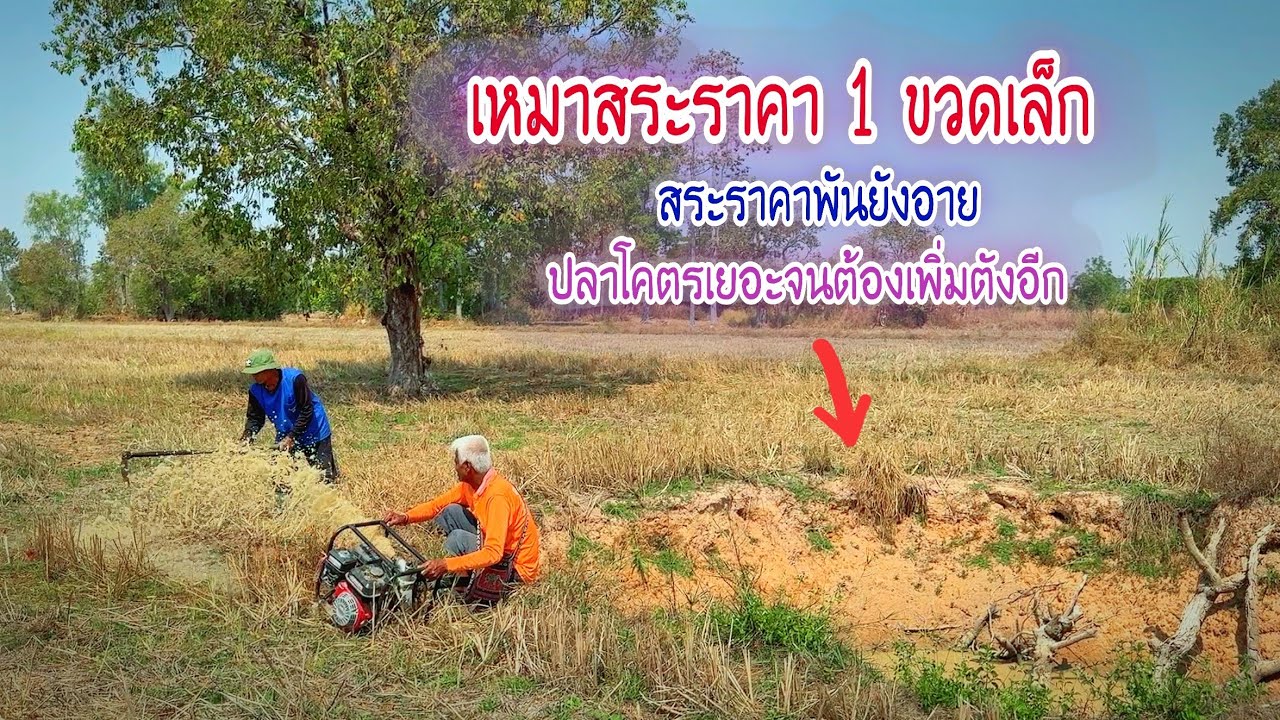 น่าเหลือเชื่อเหมาสระราคา 1 ขวดเล็กปลาโคตรเยอะ สระราคาพันยังอาย งานนี้ถึงกับต้องเพิ่มตังให้อีก