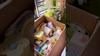 🍰a MASSIVE cute🎀 haul (diecutsmart) #stationery #haul
