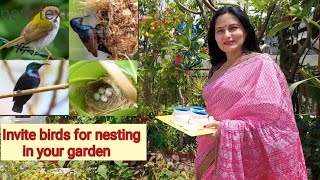 Invite birds for nesting in your garden | Rashmi's World - Create to Decorate
