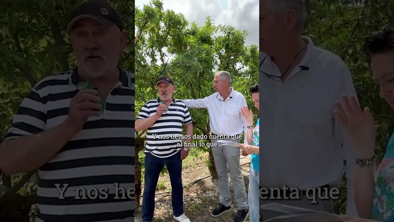 Evolución en el manejo del seto: de los errores al muro productivo.