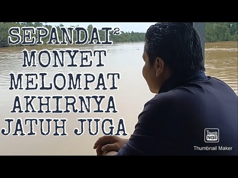 Video: 17 Ibu Lelah Yang Sangat Bahagia Anak-Anak Akan Kembali Ke Sekolah