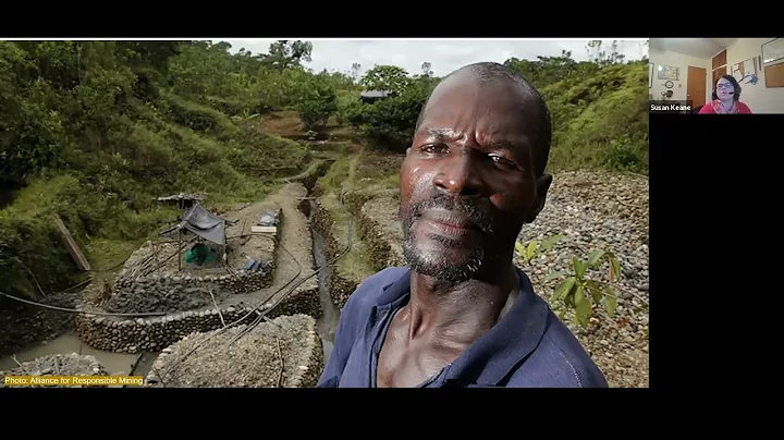 The UN’s Decade on Ecosystem Restoration and the REDD Programme