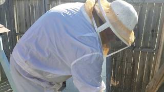 Winterizing My Top-Bar And Langstroth Beehives
