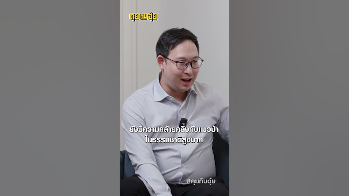 การให้อาหารแมวที่ถูกต้อง ดร.น.สพ.ปรารมภ์ #คุยกับอุ๋ย #อุ๋ยบุดด้าเบลส #แมว #จิตเวชสัตว์เลี้ยง