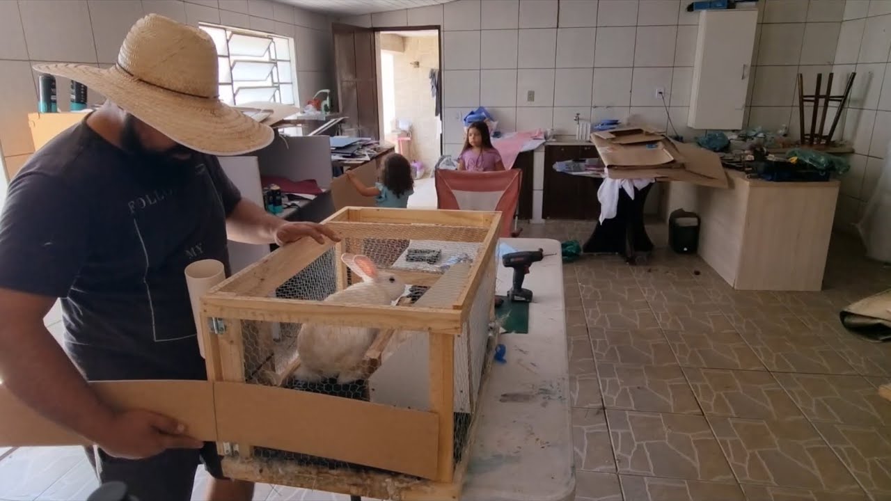 Limpeza no criatório Nova Zelândia + manutenção e plantio de couve 🌱🐰