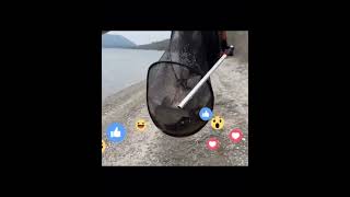 Осенний улов . Разнорыбье : лещ , тарань , рыбец , жерех . #fishing #ловля #рыбалка #рыбалканафидер