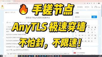 🔥稳如长城：用 AnyTLS 打造加密节点，实现科学上网，开启加密通道，实现数据隐私，全流程揭秘，稳定，速度翻倍，防封顶级！实现网络安全|VPS搭建教程|vpn|自建节点|防封锁代理 | proxy
