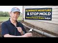 Clear Water Build Up In Your Yard with a French Drain
