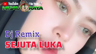 SEJUTA LUKA‼️Dj Remix