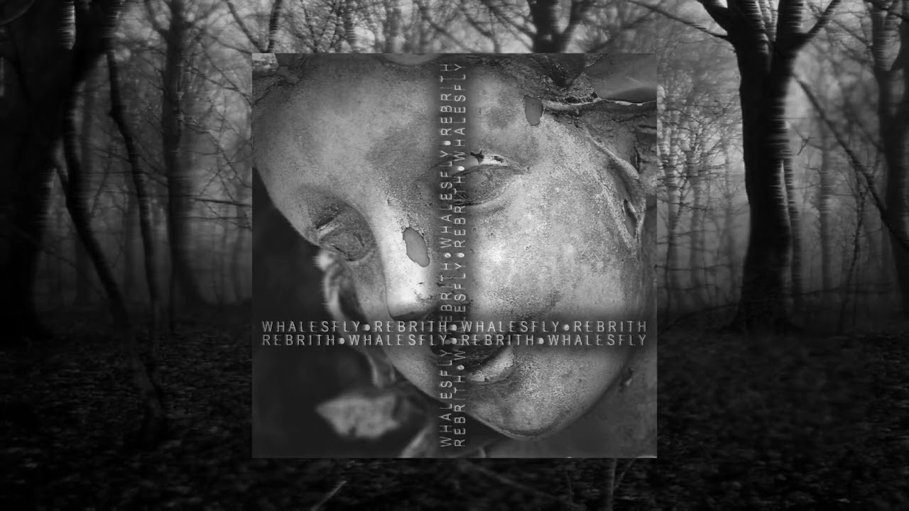 Watch WHALESFLY - REBRITH on YouTube Watch WHALESFLY - REBRITH on YouTube