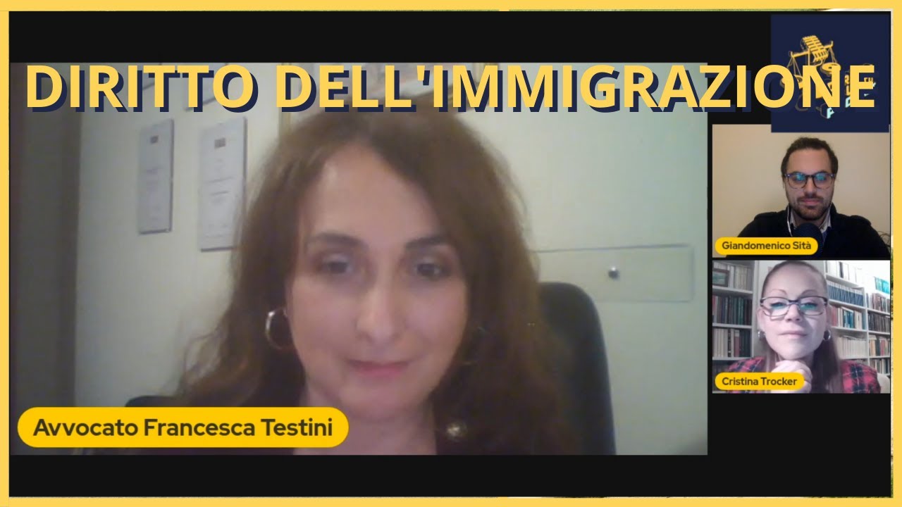 Diritto dell'Immigrazione (P8 S6)