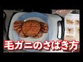 【おうち時間】毛ガニのさばき方～キッチンバサミ使用～
