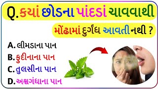 GK QUIZ 🤔 | Gk Questions and Answers | Gk | Gk in gujrati | Gk Questions | જીકે ગુજરાતી | #viral
