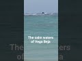 🌊 Find Peace in Vega Baja | 15 Seconds of Calm #shorts