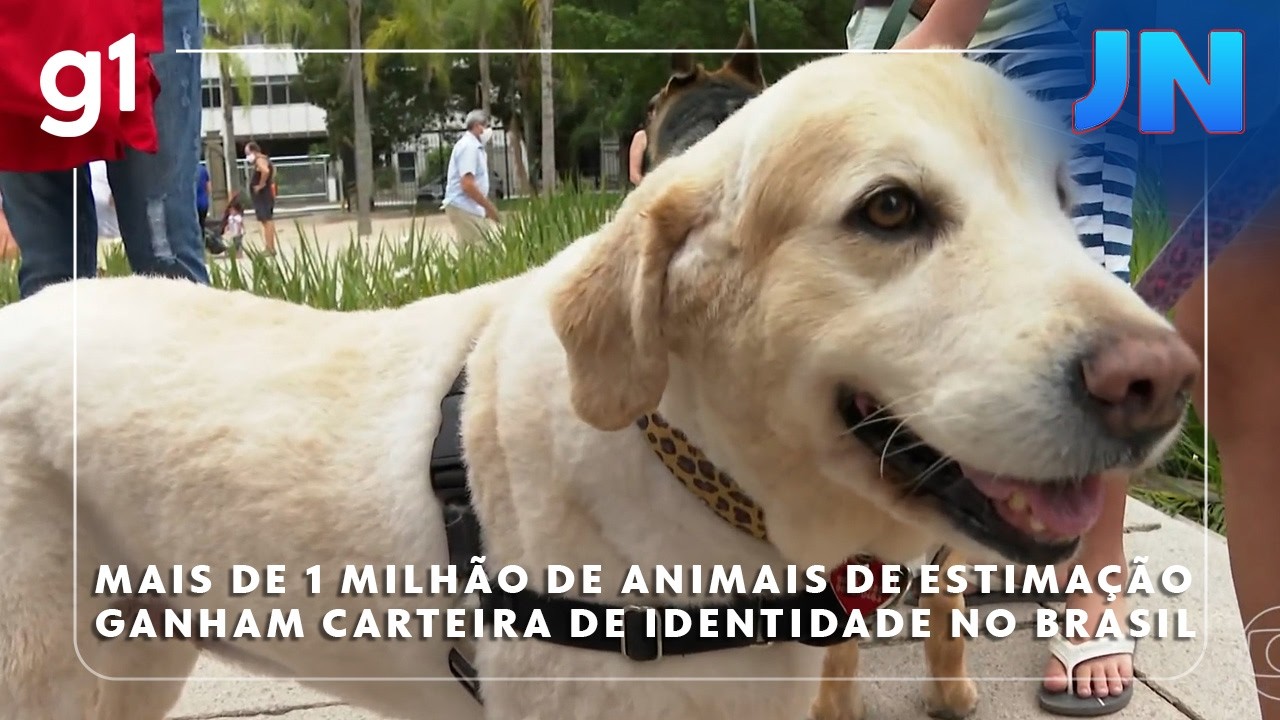 Jornal Nacional: Mais de 1 milhão de animais de estimação ganham carteira de identidade no Brasil