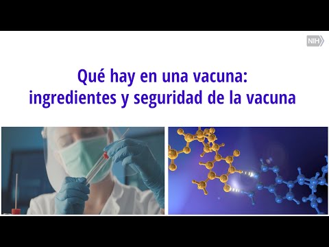 Qué hay en una vacuna: ingredientes y seguridad de la vacuna