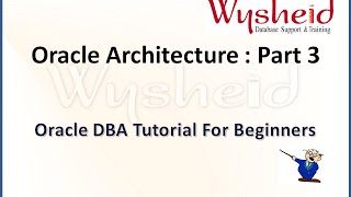 Celebrity Oracle Tutorial For Beginners | Oracle Database Architecture part 3|Oracle DBA Training Profile