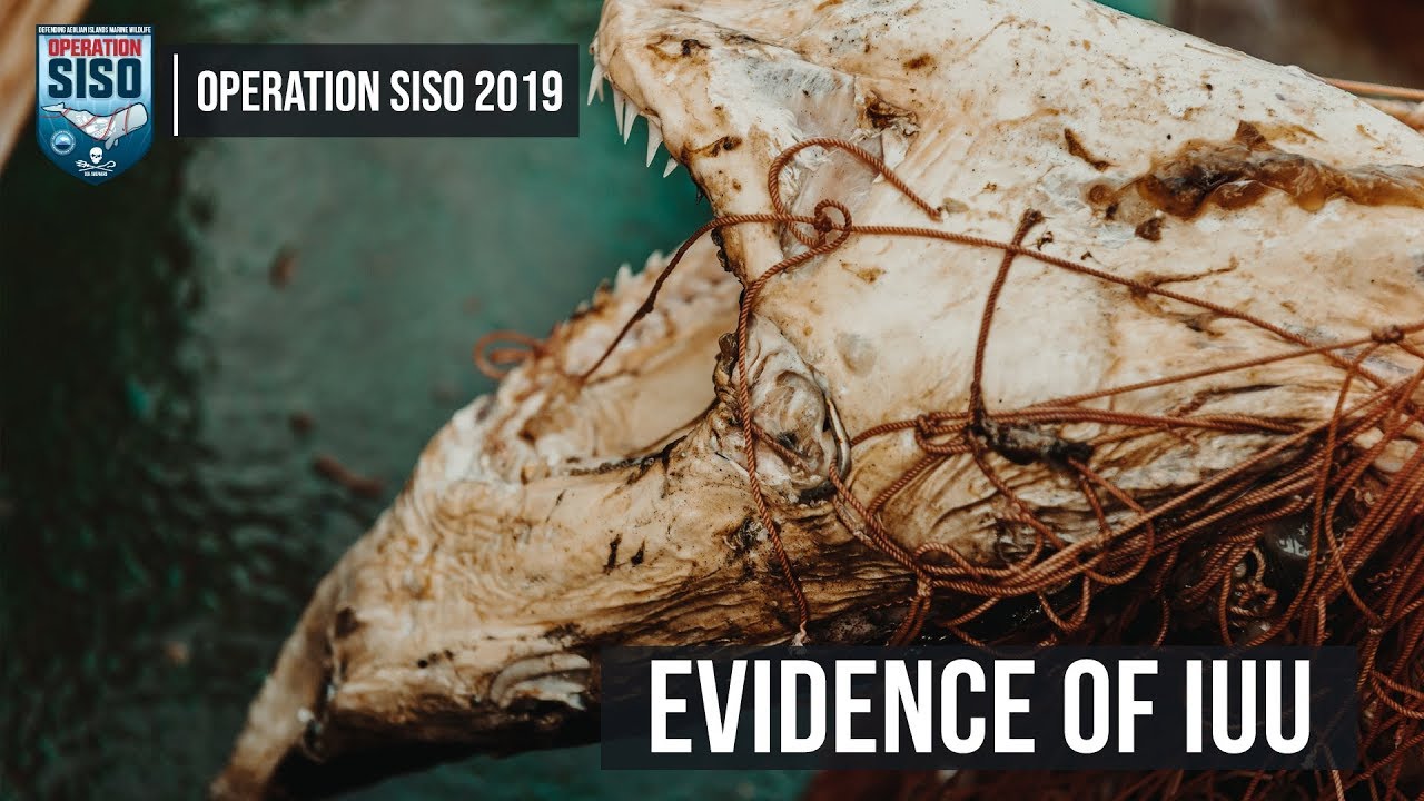 Sea Shepherd Retrieves iIllegal Driftnet in the Mediterranean