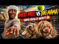 MOO MOO vs BIG MAMA... 😳 We Finally Let Mom &amp; Daughter RACE in the Parking Lot! 🏃&zwj;♀️💨🎾