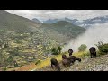 Daily Lifestyle of Nepali Rural Village Jiree || Simply The Best Mountain Village || IamSuman