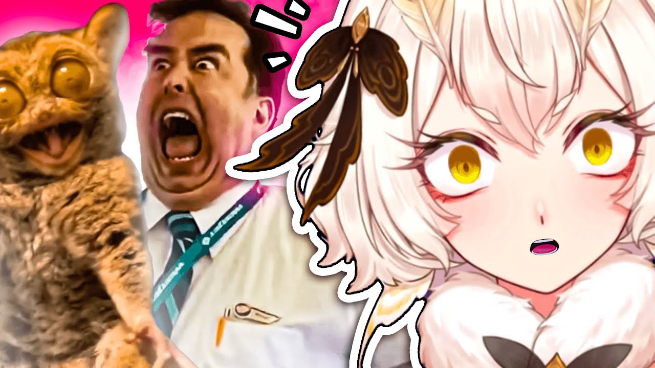 Yuzu Reacts to Unusual Memes - Part 2