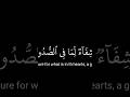 كروما قرآن/ سورة يونس/ القارئ عبدالرحمن مسعد #قران_كريم #قرآن #عبدالرحمن_مسعد #quran_alkarim #quran