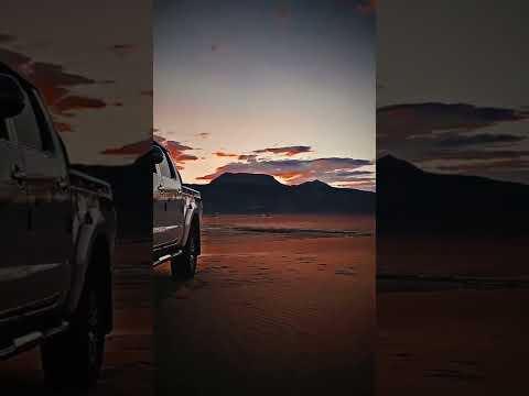 محدش في جيلي عاارف يجيلي