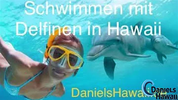 Welche Delfine gibt es in Hawaii?