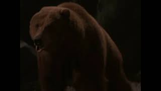 Bear (Wild America 1997) Sounds