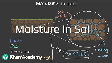 Moisture in Soil | Soil | Grade 7 | Science NCERT | Khan Academy