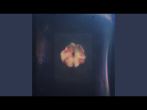 Music Video Preview
