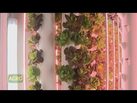Video: Green Residence en Singapur cultiva hierba en todos los niveles