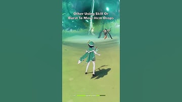 Genshin Impact Navia And Qiqi Only Use Idle Animations