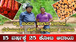 ರಕ್ತ ಚಂದನ ಹಾಗೂ ಶ್ರೀಗಂಧ ಬೆಳೆಯುವ ಸುಲಭ ವಿಧಾನ|Red sandal farming|white sandal|Sandal wood farming|sandal