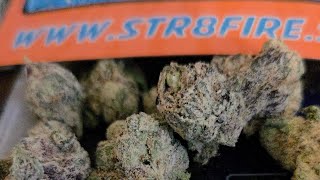 Str8fire Live sesh Cosmic Candy 🍬 9 out of 10 nuff said